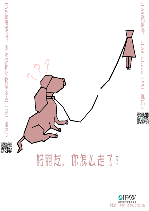 公司在第23届时报金犊奖大赛中喜获佳绩
