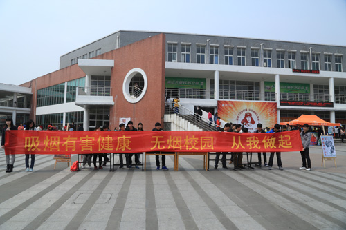 公司组织开展禁烟系列活动