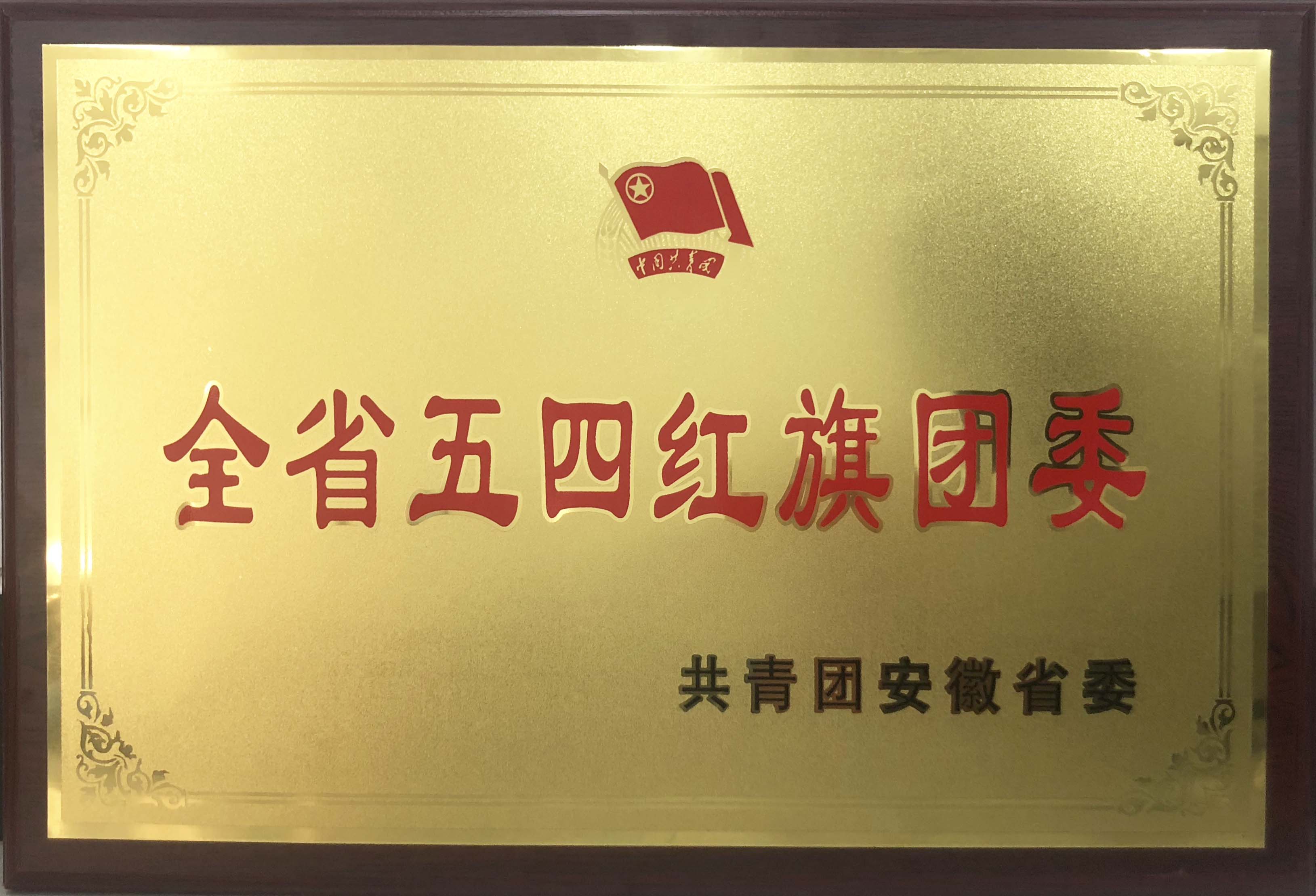 安徽省五四红旗团总支