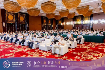 青春聚力正当时，集智设计新乡村——公司教师在第三届安徽省乡村振兴创新创业大赛颁奖典礼上载誉而归